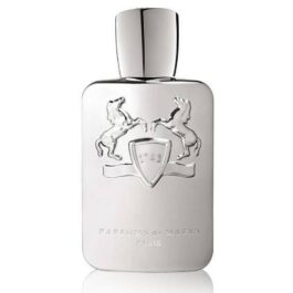 بيكاسوس Pegasus