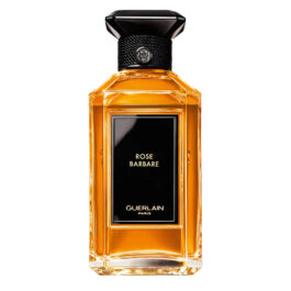 روز بربري Rose Barbare